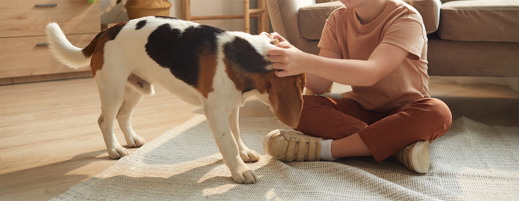 a boy petting his dog in a bright living room